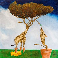 Giraf eet boom